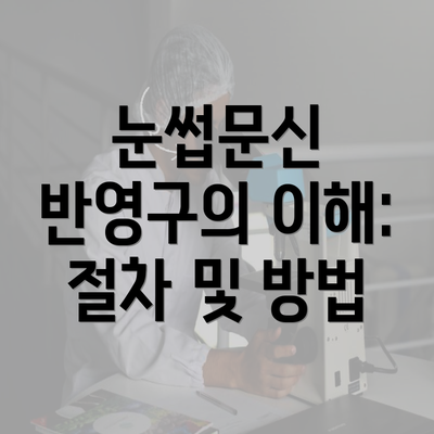 눈썹문신 반영구의 이해: 절차 및 방법