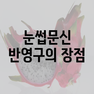 눈썹문신 반영구의 장점