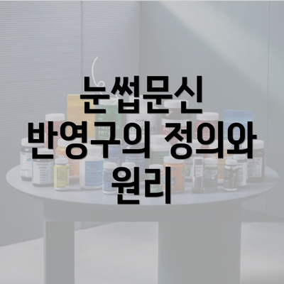 눈썹문신 반영구의 정의와 원리
