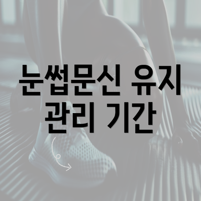 인천시 부평구 부개2동 눈썹문신 반영구 | 남자 | 여자 | 자연 | 관리 | 가격 | 비용 | 세수 | 관리 | 기간 | 주의사항 2025 7 눈썹문신 유지 관리 기간