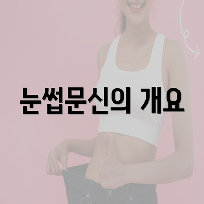 눈썹문신의 개요