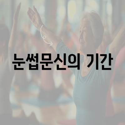 눈썹문신의 기간