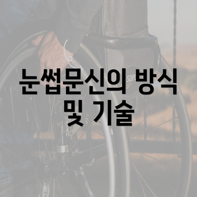 눈썹문신의 방식 및 기술