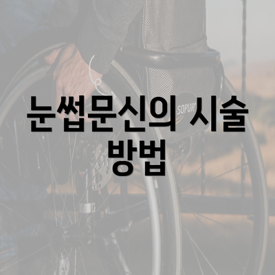 눈썹문신의 시술 방법