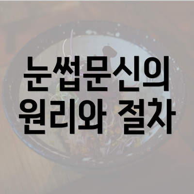 눈썹문신의 원리와 절차