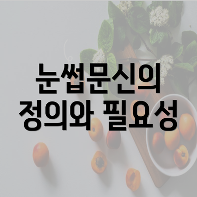 눈썹문신의 정의와 필요성