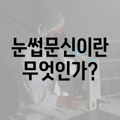 제주도 제주시 외도동 눈썹문신 반영구 | 남자 | 여자 | 자연 | 관리 | 가격 | 비용 | 세수 | 관리 | 기간 | 주의사항 2025 3 눈썹문신이란 무엇인가?