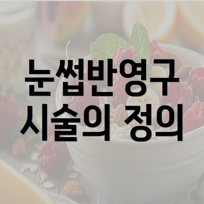 눈썹반영구 시술의 정의