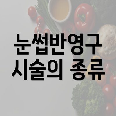 눈썹반영구 시술의 종류