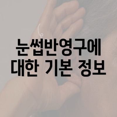 눈썹반영구에 대한 기본 정보