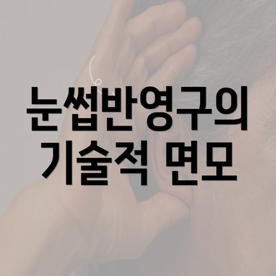 눈썹반영구의 기술적 면모