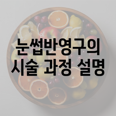 눈썹반영구의 시술 과정 설명