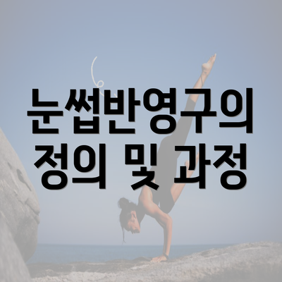 눈썹반영구의 정의 및 과정