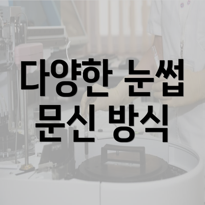 다양한 눈썹 문신 방식