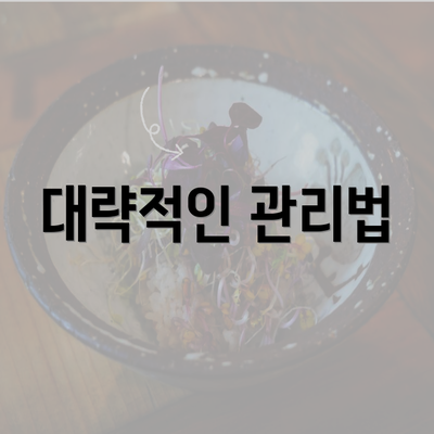 대략적인 관리법