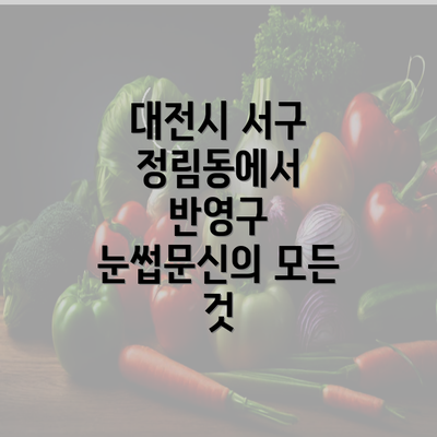 대전시 서구 정림동에서 반영구 눈썹문신의 모든 것