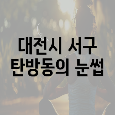 대전시 서구 탄방동의 눈썹