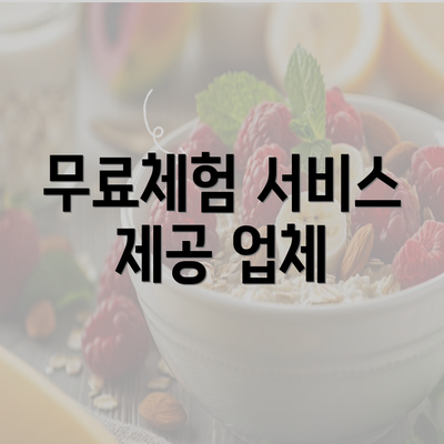 무료체험 서비스 제공 업체
