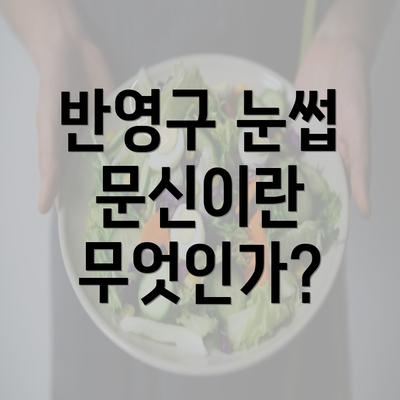 반영구 눈썹 문신이란 무엇인가?