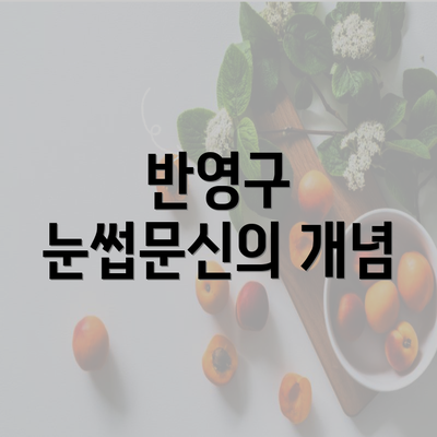 반영구 눈썹문신의 개념