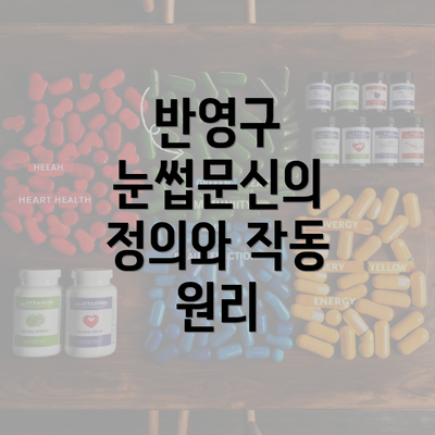 반영구 눈썹문신의 정의와 작동 원리