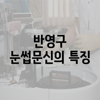 반영구 눈썹문신의 특징