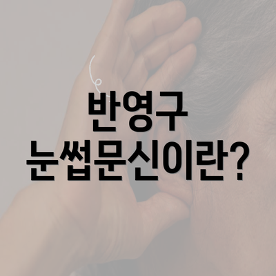 반영구 눈썹문신이란?
