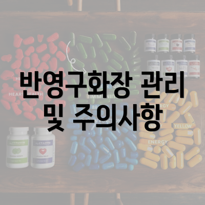 반영구화장 관리 및 주의사항