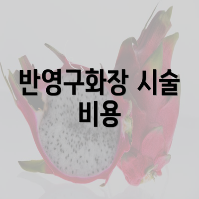 반영구화장 시술 비용