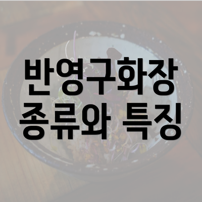 반영구화장 종류와 특징
