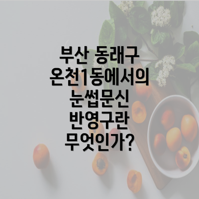 부산 동래구 온천1동에서의 눈썹문신 반영구란 무엇인가?