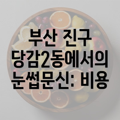 부산 진구 당감2동에서의 눈썹문신: 비용