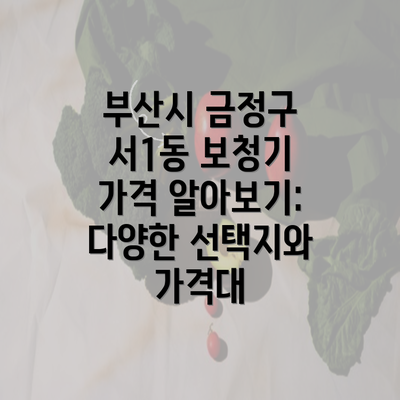 부산시 금정구 서1동 보청기 가격 알아보기: 다양한 선택지와 가격대