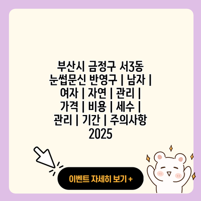 부산시 금정구 서3동 눈썹문신 반영구 남자 여자 자연 관리 가격 비용 세수 관리 기간 주의사항 2025 resized 2