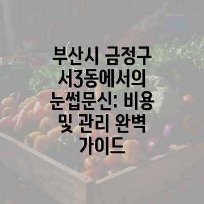 부산시 금정구 서3동에서의 눈썹문신: 비용 및 관리 완벽 가이드