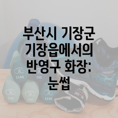 부산시 기장군 기장읍에서의 반영구 화장: 눈썹