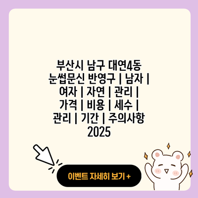 부산시 남구 대연4동 눈썹문신 반영구 남자 여자 자연 관리 가격 비용 세수 관리 기간 주의사항 2025 resized