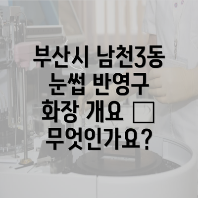 부산시 남천3동 눈썹 반영구 화장 개요 – 무엇인가요?