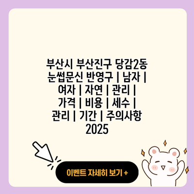 부산시 부산진구 당감2동 눈썹문신 반영구 남자 여자 자연 관리 가격 비용 세수 관리 기간 주의사항 2025 resized