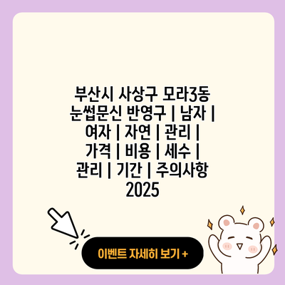 부산시 사상구 모라3동 눈썹문신 반영구 남자 여자 자연 관리 가격 비용 세수 관리 기간 주의사항 2025 resized