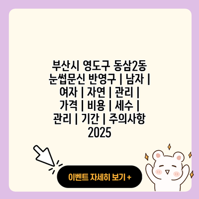 부산시 영도구 동삼2동 눈썹문신 반영구 남자 여자 자연 관리 가격 비용 세수 관리 기간 주의사항 2025 resized