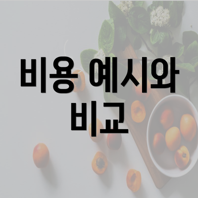 비용 예시와 비교
