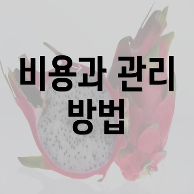 비용과 관리 방법