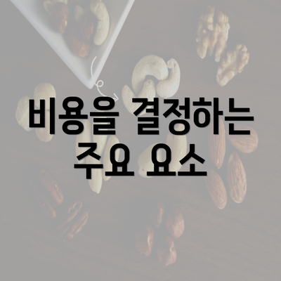 비용을 결정하는 주요 요소