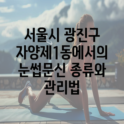 서울시 광진구 자양제1동에서의 눈썹문신 종류와 관리법