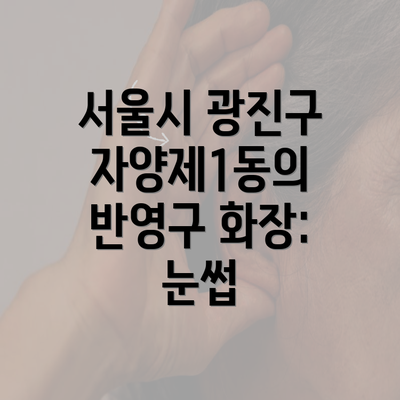 서울시 광진구 자양제1동의 반영구 화장: 눈썹