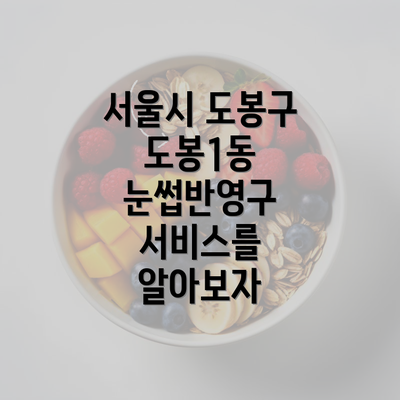 서울시 도봉구 도봉1동 눈썹반영구 서비스를 알아보자