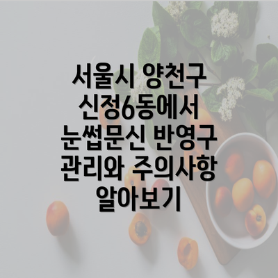 서울시 양천구 신정6동에서 눈썹문신 반영구 관리와 주의사항 알아보기