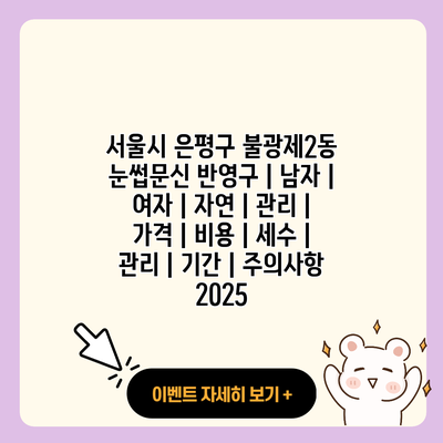 서울시 은평구 불광제2동 눈썹문신 반영구 남자 여자 자연 관리 가격 비용 세수 관리 기간 주의사항 2025 resized