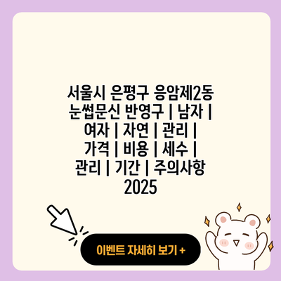 서울시 은평구 응암제2동 눈썹문신 반영구 남자 여자 자연 관리 가격 비용 세수 관리 기간 주의사항 2025 resized